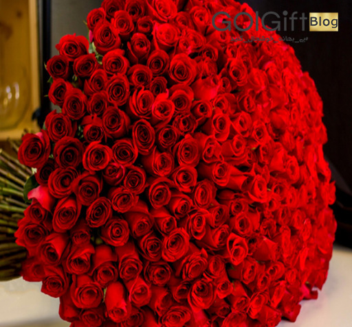 عکس دسته گل رز قرمز خیلی بزرگ