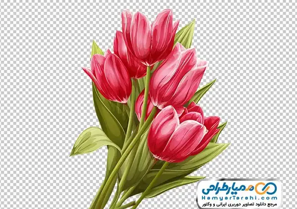 عکس دسته گل برای نقاشی