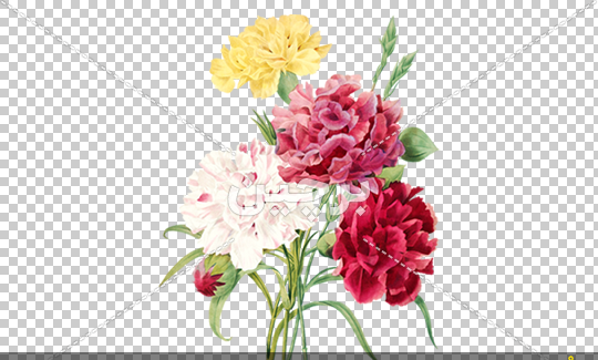 عکس دسته گل برای نقاشی