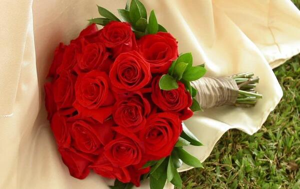عکس دسته گل رز قرمز عروس