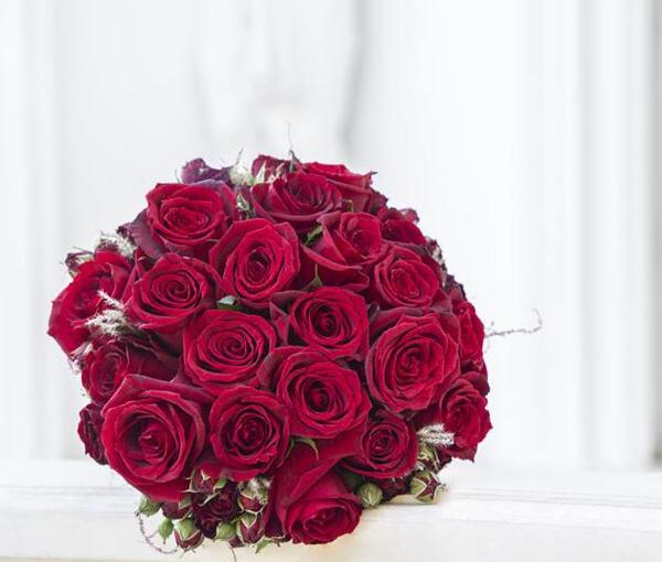 عکس دسته گل رز قرمز عروس