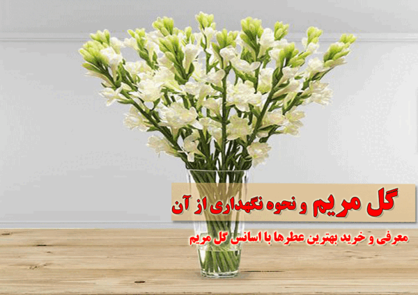 عکس دسته گل مریم و نرگس