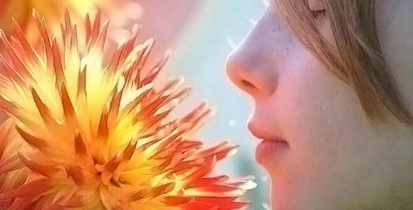 عکس دسته گل مریم و نرگس