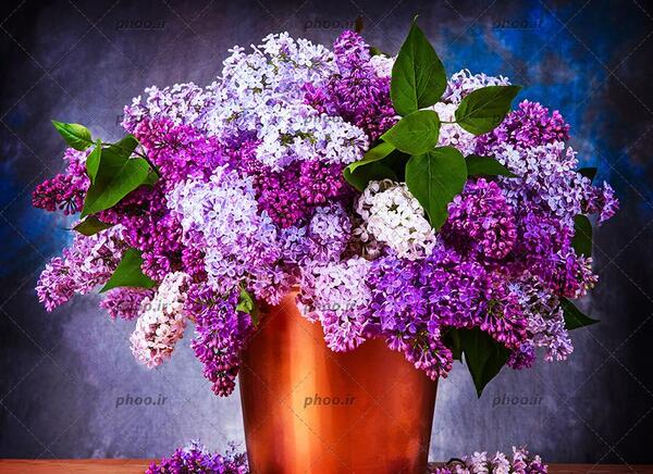 عکس دسته گل زیبا متحرک