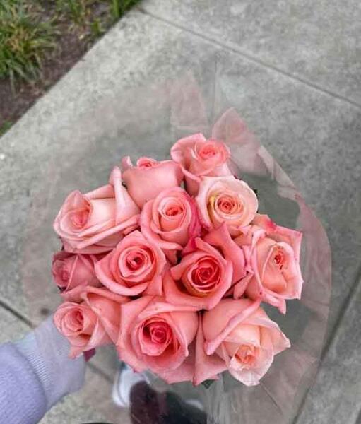 عکس دسته گل رز قرمز کوچک