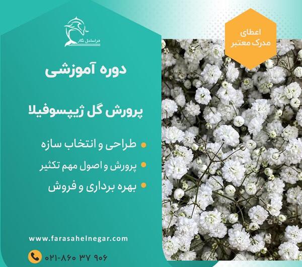 عکس دسته گل عروس ژیپسوفیلا