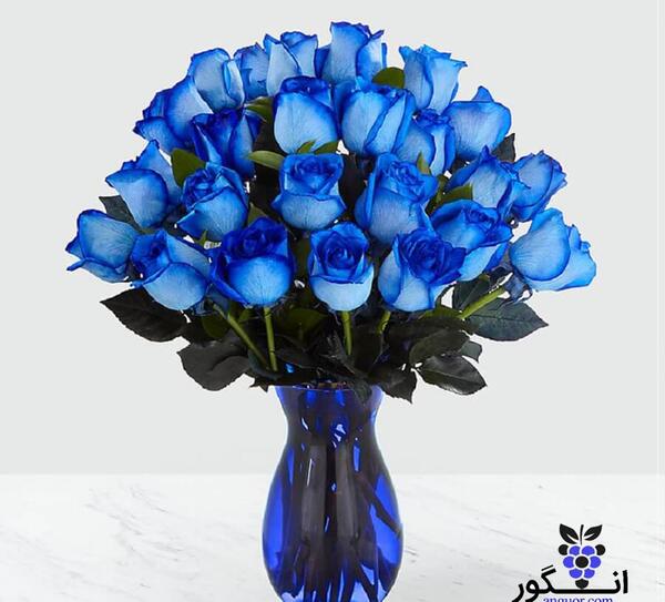 عکس دسته گل عروس ژیپسوفیلا