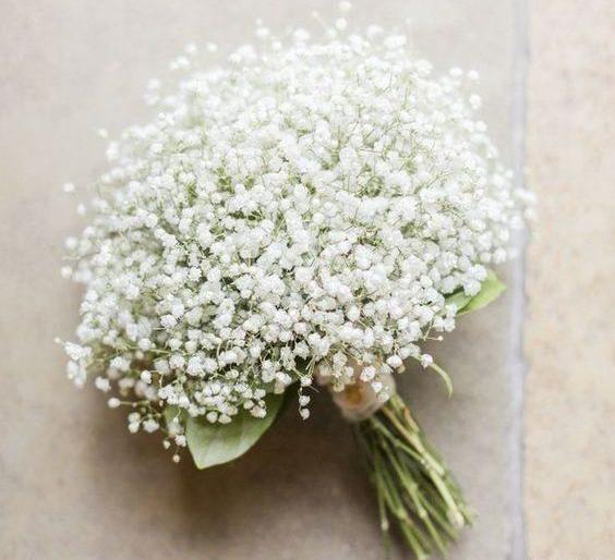 عکس دسته گل عروس ژیپسوفیلا