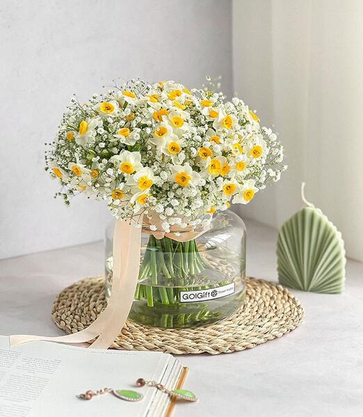 عکس دسته گل عروس ژیپسوفیلا