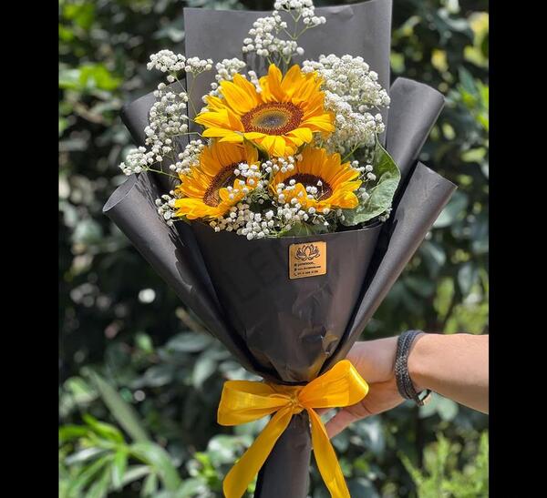 عکس دسته گل افتاب گردون