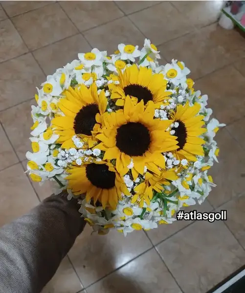 عکس دسته گل افتاب گردون