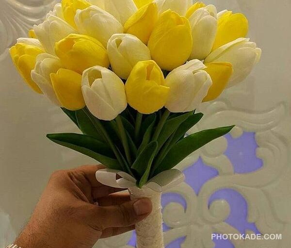عکس دسته گل لاله زرد