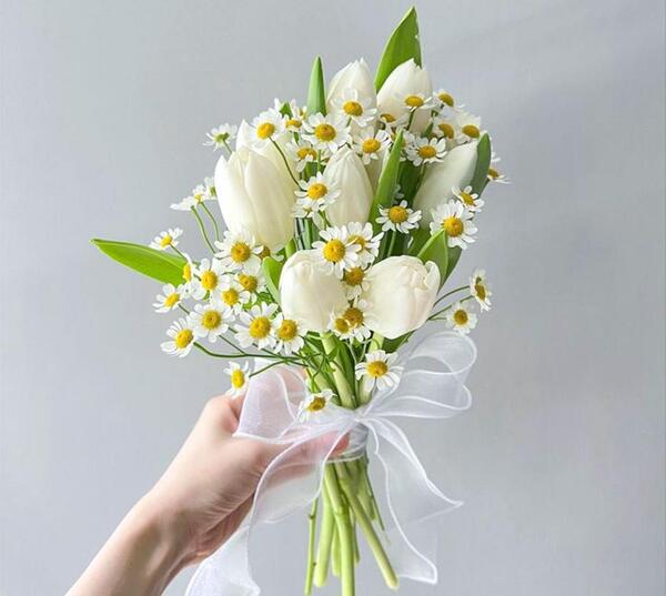 عکس دسته گل لاله زرد