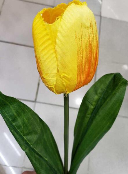 عکس دسته گل لاله زرد