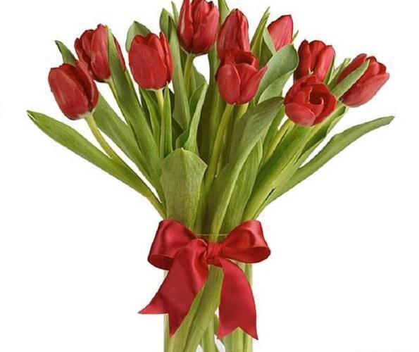 عکس دسته گل لاله زرد
