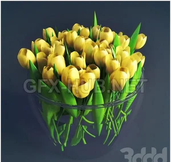 عکس دسته گل لاله زرد