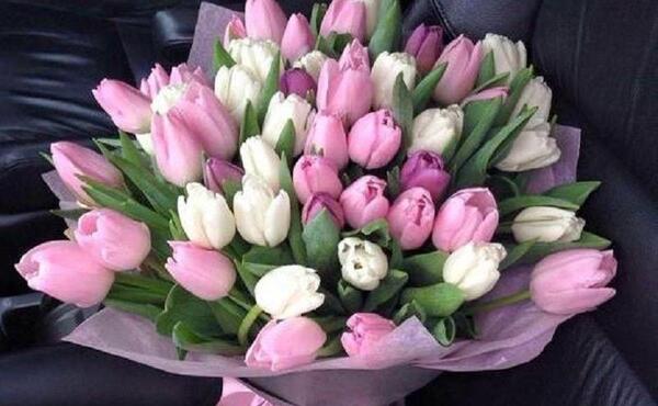 عکس یک دسته گل لاله