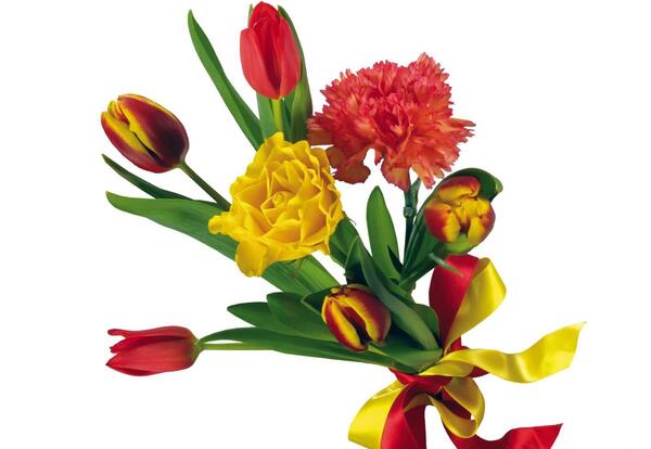 عکس یک دسته گل لاله