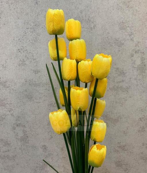 عکس یک دسته گل لاله