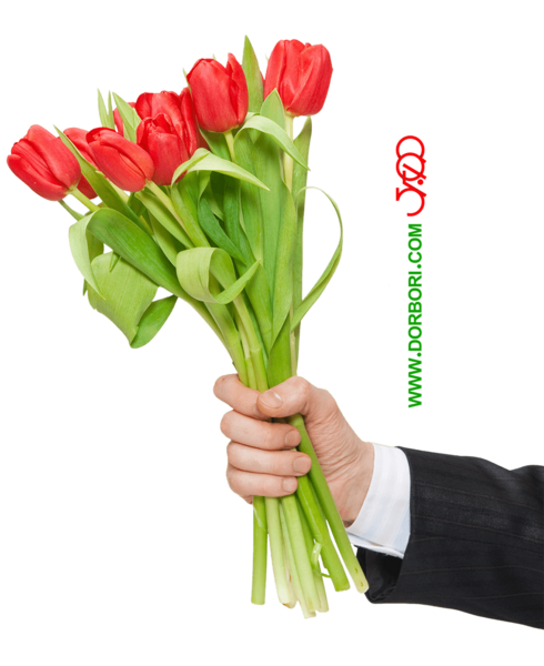 عکس یک دسته گل لاله
