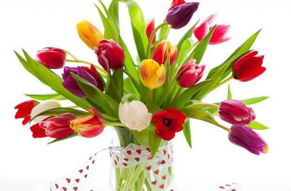 عکس یک دسته گل لاله