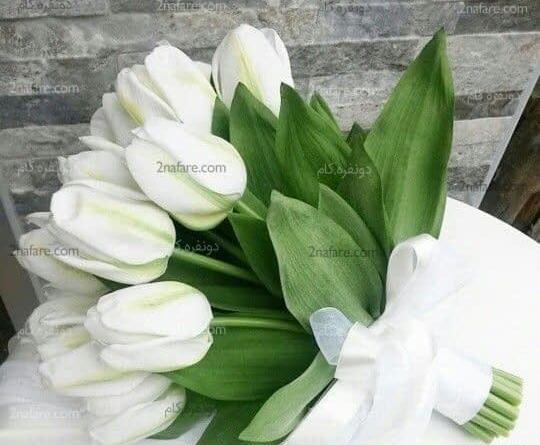 عکس یک دسته گل لاله