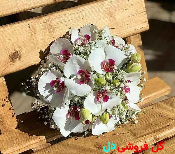 عکس دسته گل عروس گرد