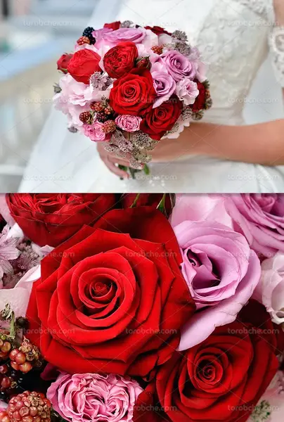 عکس دسته گل گل عروس