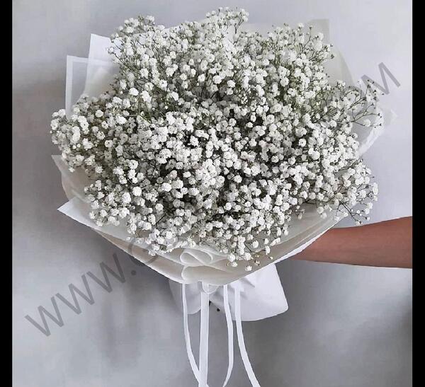 عکس دسته گل گل عروس