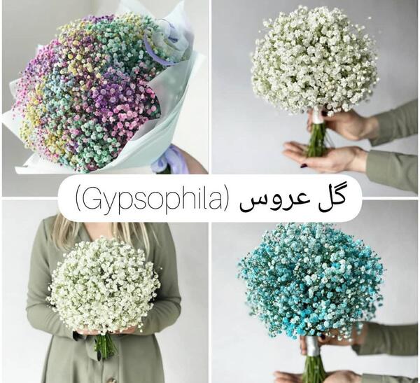 عکس دسته گل با گل عروس