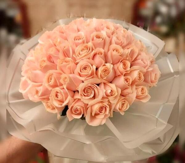 عکس دسته گل رز گلبهی
