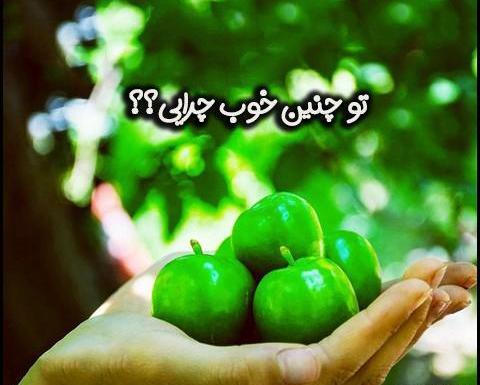 عکس دسته گل با گوجه سبز