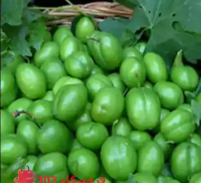 عکس دسته گل با گوجه سبز