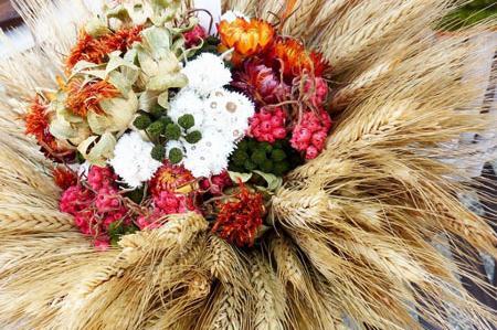 عکس دسته گل با گندم