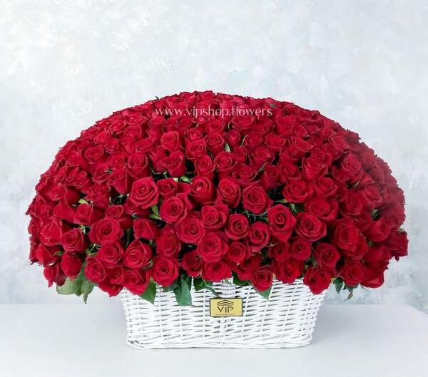 عکس دسته گل قرمز بزرگ