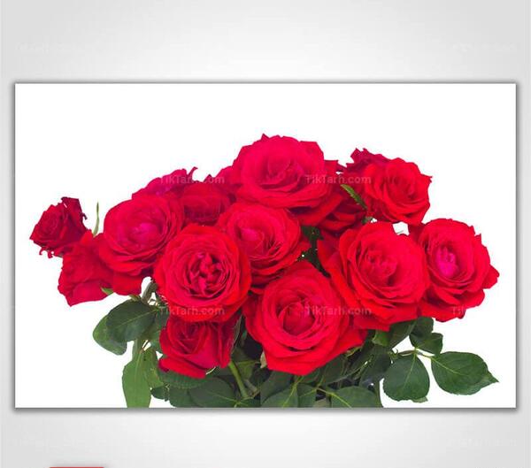 عکس دسته گل قرمز زیبا