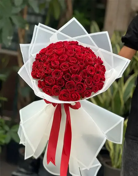 عکس یک دسته گل رز قرمز