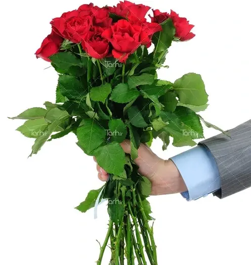 عکس یک دسته گل رز قرمز