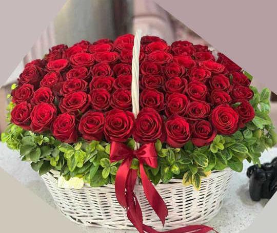 عکس یک دسته گل رز قرمز