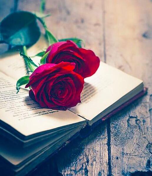 عکس دسته گل به شکل قلب
