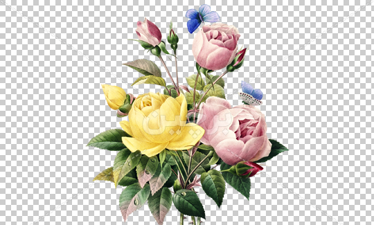 عکس یه دسته گل خیلی قشنگ