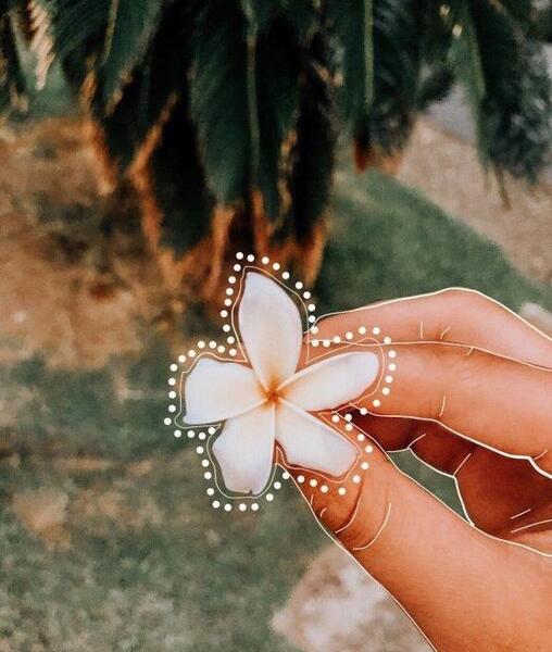 عکس دسته گل فیک برای استوری