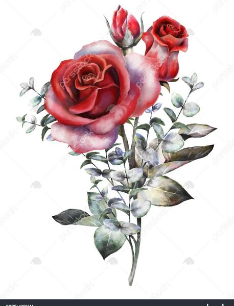 عکس دسته گل رز عاشقانه