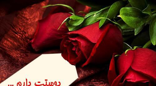 عکس دسته گل رز عاشقانه