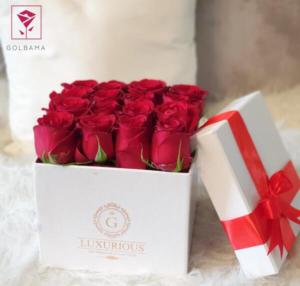 عکس دسته گل برای تولد عشقم
