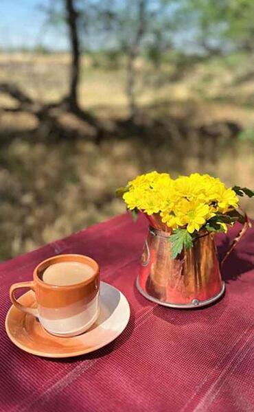 عکس دسته گل طبیعی برای استوری