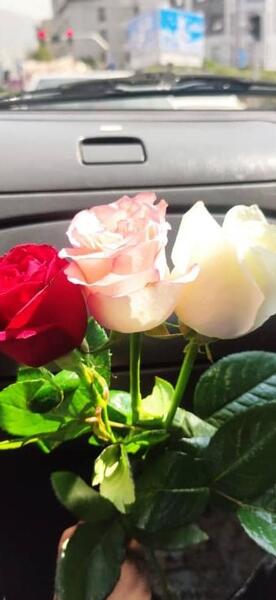 عکس دسته گل طبیعی برای استوری