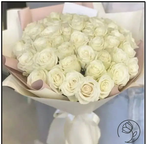 عکس دسته گل سفید رز
