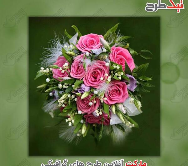 دانلود عکس دسته گل رز صورتی