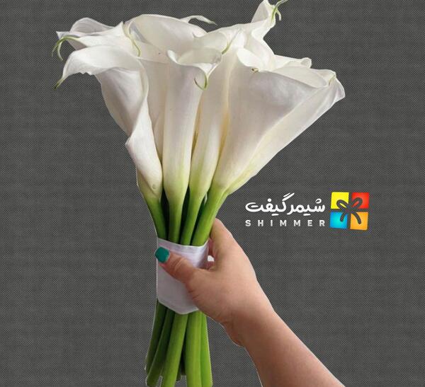 عکس دسته گل شیپوری عروس